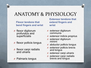 Flexor and Extensor Tendon Laceration vs. Occupational Therapy | PPTX