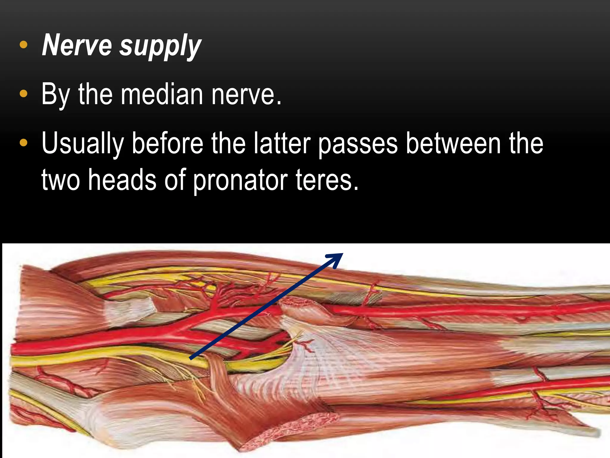 Flexor compartment of forearm | PPTX