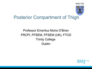 MOB TCD

Posterior Compartment of Thigh
Professor Emeritus Moira O’Brien
FRCPI, FFSEM, FFSEM (UK), FTCD
Trinity College
Dublin

 