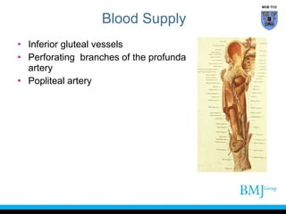 MOB TCD

Blood Supply
• Inferior gluteal vessels
• Perforating branches of the profunda
artery
• Popliteal artery

 
