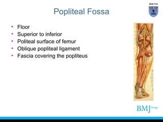 MOB TCD

Popliteal Fossa
•
•
•
•
•

Floor
Superior to inferior
Politeal surface of femur
Oblique popliteal ligament
Fascia covering the popliteus

 