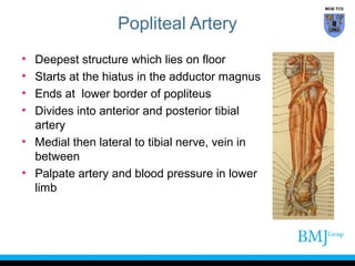 MOB TCD

Popliteal Artery
•
•
•
•

Deepest structure which lies on floor
Starts at the hiatus in the adductor magnus
Ends at lower border of popliteus
Divides into anterior and posterior tibial
artery
• Medial then lateral to tibial nerve, vein in
between
• Palpate artery and blood pressure in lower
limb

 