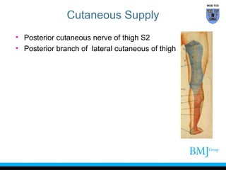 MOB TCD

Cutaneous Supply
• Posterior cutaneous nerve of thigh S2
• Posterior branch of lateral cutaneous of thigh

 