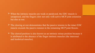  When the intrinsic muscles are weak or paralyzed, the EDC muscle is
unopposed, and the fingers claw not only with active MCP joint extension
but also at rest.
 The clawing at rest demonstrates that the passive tension in the intact EDC
muscle exceeds the passive tension in the remaining MCP joint flexors.
 The clawed position is also known as an intrinsic minus position because it
is attributed to the absence of the finger intrinsic muscles (the interossei
and lumbrical muscles).
 
