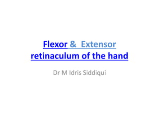 Flexor & Extensor
retinaculum of the hand
Dr M Idris Siddiqui
 