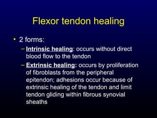 Flexor tendon healing
• 2 forms:
– Intrinsic healing: occurs without direct
blood flow to the tendon
– Extrinsic healing: occurs by proliferation
of fibroblasts from the peripheral
epitendon; adhesions occur because of
extrinsic healing of the tendon and limit
tendon gliding within fibrous synovial
sheaths

 