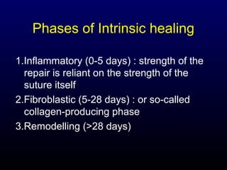 Phases of Intrinsic healing
1.Inflammatory (0-5 days) : strength of the
repair is reliant on the strength of the
suture itself
2.Fibroblastic (5-28 days) : or so-called
collagen-producing phase
3.Remodelling (>28 days)

 