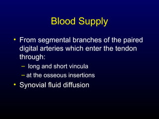 Blood Supply
• From segmental branches of the paired
digital arteries which enter the tendon
through:
– long and short vincula
– at the osseous insertions

• Synovial fluid diffusion

 