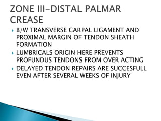  B/W TRANSVERSE CARPAL LIGAMENT AND
PROXIMAL MARGIN OF TENDON SHEATH
FORMATION
 LUMBRICALS ORIGIN HERE PREVENTS
PROFUNDUS TENDONS FROM OVER ACTING
 DELAYED TENDON REPAIRS ARE SUCCESFULL
EVEN AFTER SEVERAL WEEKS OF INJURY
 