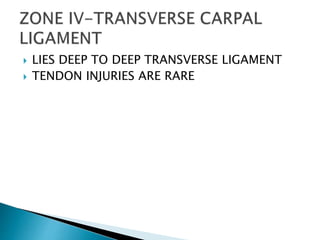  LIES DEEP TO DEEP TRANSVERSE LIGAMENT
 TENDON INJURIES ARE RARE
 