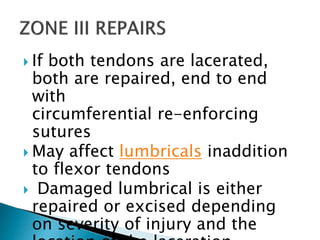  If both tendons are lacerated,
both are repaired, end to end
with
circumferential re-enforcing
sutures
 May affect lumbricals inaddition
to flexor tendons
 Damaged lumbrical is either
repaired or excised depending
on severity of injury and the
 