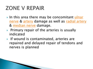  In this area there may be concomitant ulnar
nerve & artery damage as well as radial artery
& median nerve damage.
 Primary repair of the arteries is usually
indicated
 If wound is contaminated, arteries are
repaired and delayed repair of tendons and
nerves is planned
 