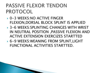 0-3 WEEKS:NO ACTIVE FINGER
FLEXION,DORSAL BLOCK SPLINT IS APPLIED
 3-6 WEEKS:SPLINTING CHANGES WITH WRIST
IN NEUTRAL POSITION ,PASSIVE FLEXION AND
ACTIVE EXTENSION EXERCIZES STARTTED
 6-9 WEEKS:WEANING FROM SPLINT,LIGHT
FUNCTIONAL ACTIVITIES STARTTED.
 