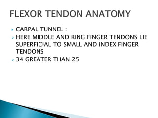  CARPAL TUNNEL :
 HERE MIDDLE AND RING FINGER TENDONS LIE
SUPERFICIAL TO SMALL AND INDEX FINGER
TENDONS
 34 GREATER THAN 25
 