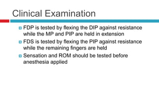 Clinical Examination
 FDP is tested by flexing the DIP against resistance
while the MP and PIP are held in extension
 FDS is tested by flexing the PIP against resistance
while the remaining fingers are held
 Sensation and ROM should be tested before
anesthesia applied
 