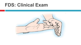 FDS: Clinical Exam
 
