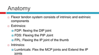Anatomy
 Flexor tendon system consists of intrinsic and extrinsic
components
 Extrinsics:
 FDP: flexing the DIP joint
 FDS: Flexing the PIP Joint
 FPL: Flexing the IP joint of the thumb
 Intrinsics:
 Lumbricals: Flex the MCP joints and Extend the IP
joints
 
