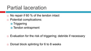 Partial laceration
 No repair if 60 % of the tendon intact
 Potential complications:
 Triggering
 Tendon entrapment
 Evaluation for the risk of triggering; debride if necessary
 Dorsal block splinting for 6 to 8 weeks
 