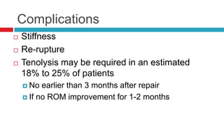 Complications
 Stiffness
 Re-rupture
 Tenolysis may be required in an estimated
18% to 25% of patients
 No earlier than 3 months after repair
 If no ROM improvement for 1-2 months
 