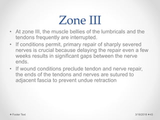 Zone III
• At zone III, the muscle bellies of the lumbricals and the
tendons frequently are interrupted.
• If conditions permit, primary repair of sharply severed
nerves is crucial because delaying the repair even a few
weeks results in significant gaps between the nerve
ends.
• If wound conditions preclude tendon and nerve repair,
the ends of the tendons and nerves are sutured to
adjacent fascia to prevent undue retraction
3/18/2018Footer Text 43
 