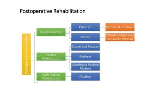 Postoperative Rehabilitation
 
