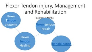 Flexor Tendon injury, Management
and Rehabilitation
Dr.Khadijah Nordin
Flexor
Tendon
anatomy
Flexor
Tendon
Healing
Flexor tendon
repair
Rehabilitation
 