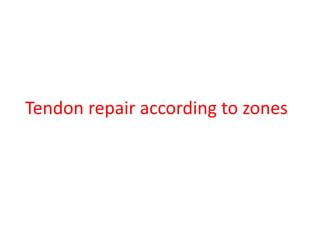 Tendon repair according to zones
 