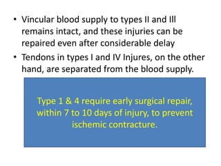 • Vincular blood supply to types II and Ill
remains intact, and these injuries can be
repaired even after considerable delay
• Tendons in types I and IV Injures, on the other
hand, are separated from the blood supply.
Type 1 & 4 require early surgical repair,
within 7 to 10 days of injury, to prevent
ischemic contracture.
 