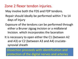 Zone 2 flexor tendon injuries.
May involve both the FDS and FDP tendons.
Repair should ideally be performed within 7 to 14
days of injury
Exposure of the tendons can be performed through
either a Bruner zigzag incision or a midlateral
Incision. which incorporates the laceration
It is necessary to open either the C1 (between A2
and A3) or C2 (between A3 and A4) cruciate-
synovial sheath
Dissection proceeds with identification and
protection of the digital nerves and arteries
 
