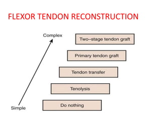 FLEXOR TENDON RECONSTRUCTION
 