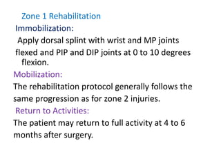 Zone 1 Rehabilitation
Immobilization:
Apply dorsal splint with wrist and MP joints
flexed and PIP and DIP joints at 0 to 10 degrees
flexion.
Mobilization:
The rehabilitation protocol generally follows the
same progression as for zone 2 injuries.
Return to Activities:
The patient may return to full activity at 4 to 6
months after surgery.
 