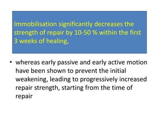 • whereas early passive and early active motion
have been shown to prevent the initial
weakening, leading to progressively increased
repair strength, starting from the time of
repair
Immobilisation significantly decreases the
strength of repair by 10-50 % within the first
3 weeks of healing,
 