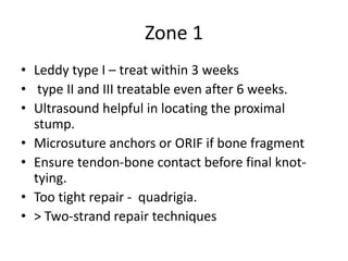 Zone 1
• Leddy type I – treat within 3 weeks
• type II and III treatable even after 6 weeks.
• Ultrasound helpful in locating the proximal
stump.
• Microsuture anchors or ORIF if bone fragment
• Ensure tendon-bone contact before final knot-
tying.
• Too tight repair - quadrigia.
• > Two-strand repair techniques
 