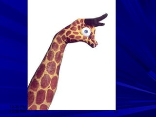 12:30 PM
12:30 PM 15
 