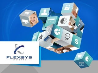 Flexsys Sistemas