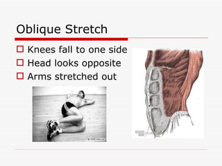 Oblique Stretch Knees fall to one side Head looks opposite Arms stretched out 