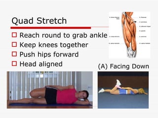 Quad Stretch Reach round to grab ankle Keep knees together Push hips forward Head aligned (A) Facing Down 