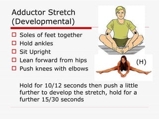 Adductor Stretch (Developmental) Soles of feet together Hold ankles Sit Upright Lean forward from hips Push knees with elbows Hold for 10/12 seconds then push a little further to develop the stretch, hold for a further 15/30 seconds (H) 