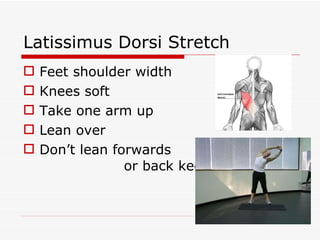 Latissimus Dorsi Stretch Feet shoulder width Knees soft Take one arm up Lean over Don’t lean forwards  or back keep aligned 