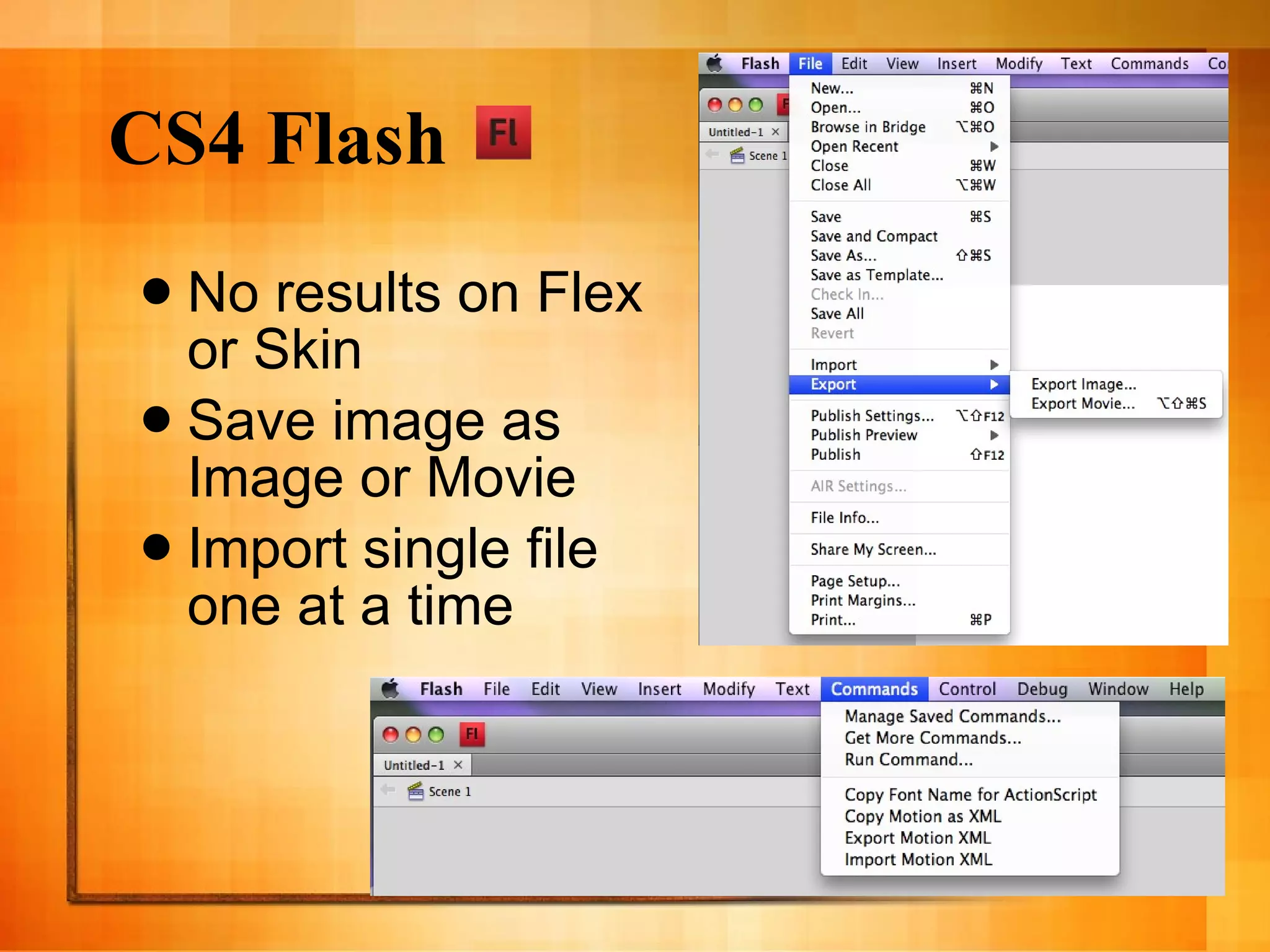 CS4 Flash No results on Flex or Skin Save image as Image or Movie Import single file one at a time 