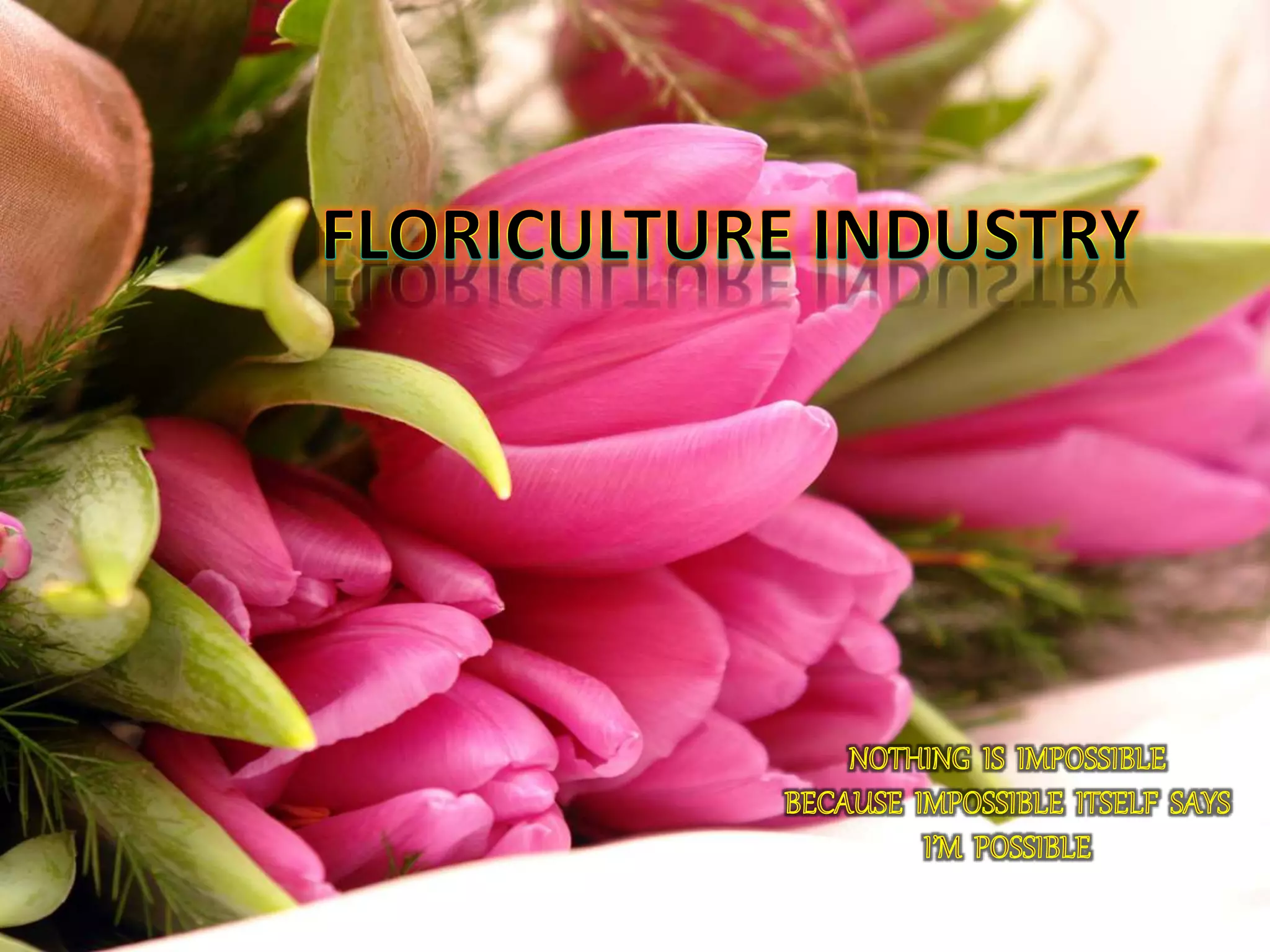 Floriculture industry PPT