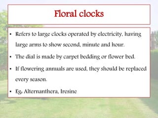 Floral clocks
• Refers to large clocks operated by electricity, having
large arms to show second, minute and hour.
• The dial is made by carpet bedding or flower bed.
• If flowering annuals are used, they should be replaced
every season.
• Eg: Alternanthera, Iresine
 