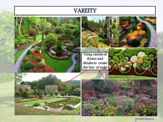VAREITY
•
•
•
•
•
•
Using variety of
flower and
shrubs to create
the line of sight
vincemichael.wordpress.co
m
 