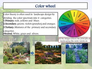 Color wheel
Color theory is often used in landscape design by
dividing the color spectrum into 4 categories:
1.Primary: reds, yellows and blues.
2.Secondary: greens, violets (purples) and oranges.
3.Tertiary: Mixtures of the primary and secondary
categories.
•Neutral: White, grays and silvers.
All the images follows the principle of
landscaping like unity vareity etc
 