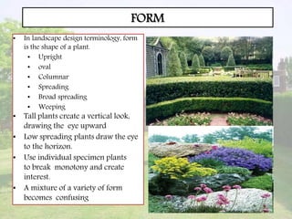 FORM
• In landscape design terminology, form
is the shape of a plant.
• Upright
• oval
• Columnar
• Spreading
• Broad spreading
• Weeping
• Tall plants create a vertical look,
drawing the eye upward
• Low spreading plants draw the eye
to the horizon.
• Use individual specimen plants
to break monotony and create
interest.
• A mixture of a variety of form
becomes confusing
 
