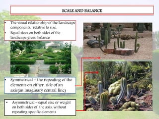 SCALE AND BALANCE
• The visual relationship of the Landscape
components, relative to size.
• Equal sizes on both sides of the
landscape gives balance
• Symmetrical – the repeating of the
elements on either side of an
axis(an imaginary central line)
• Asymmetrical – equal size or weight
on both sides of the axis, without
repeating specific elements
 