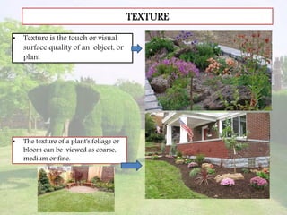 TEXTURE
• Texture is the touch or visual
surface quality of an object, or
plant
• The texture of a plant's foliage or
bloom can be viewed as coarse,
medium or fine.
 