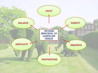 SIX BASIC
PRINCIPLES OF
LANDSCAPE
DESIGN
 