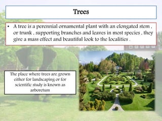 Trees
• A tree is a perennial ornamental plant with an elongated stem ,
or trunk , supporting branches and leaves in most species , they
give a mass effect and beautiful look to the localities .
The place where trees are grown
either for landscaping or for
scientific study is known as
arboretum
 