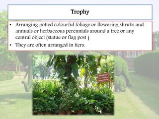 Trophy
• Arranging potted colourful foliage or flowering shrubs and
annuals or herbaceous perennials around a tree or any
central object (statue or flag post )
• They are often arranged in tiers.
 